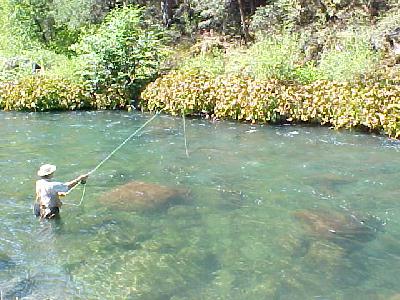 Pretty Water Jean Michel: