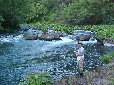 Johnny boy on the McCloud 2003: 