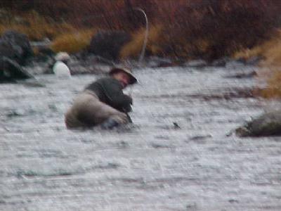 Steve Walsh Swimming in December: 