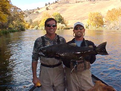20lb King Salmon on fly Oct 2002: 