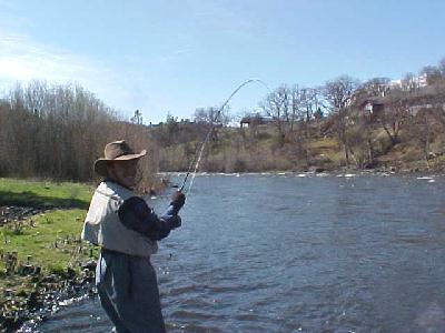 Klamath Brandon with one on: 