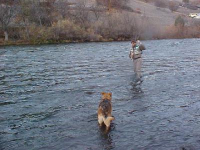 Klamath, Gary Norvell: