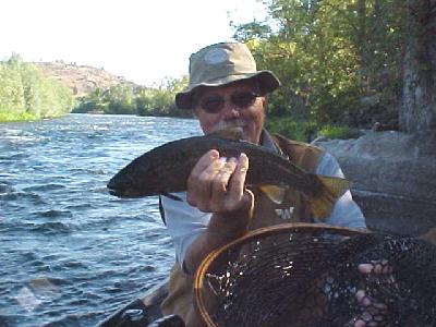 Mr. Helm Steelie: 