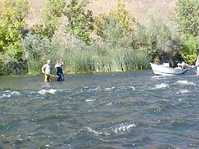 Klamath Steelhead Jim and Ed: