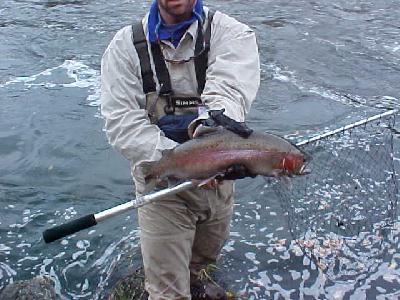 Klamath River Moster!!!!!!!!!: 