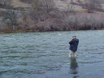 Rich catching another one!: 