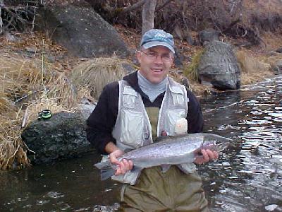 Jeff Rader and his Steely!!: 