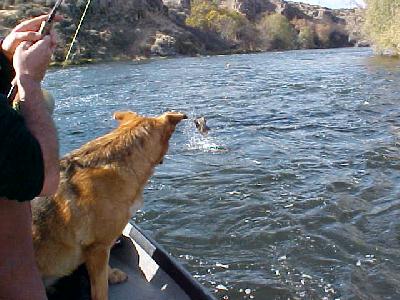 Gregg Foster's Klamath jumper: 