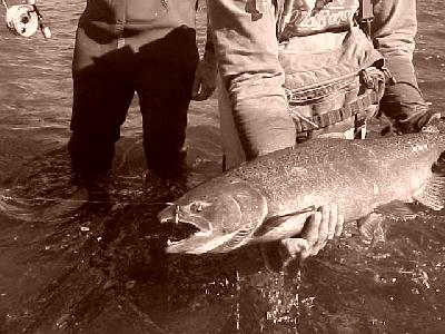 Klamath Salmon Giant 2003: