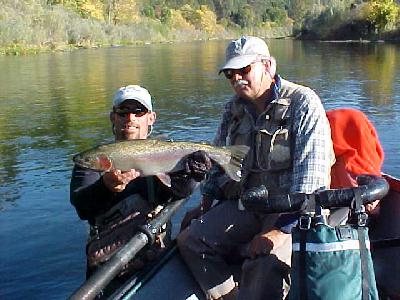 Tom Greenfield Steelhead 2002 KR: 