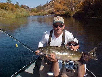 Tony with a 13lb Salmon on Fly: 
