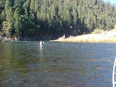 Klamath River wading shot 2002: 