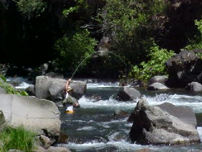 Steve Pagones Rod is bent!: 
