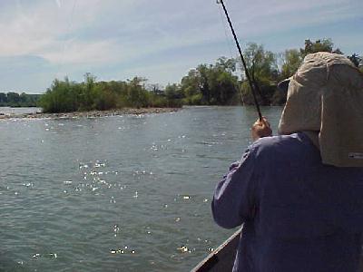 Alec Fish here: 