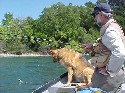 Lower Sac Shasta&Gene Webber: 
