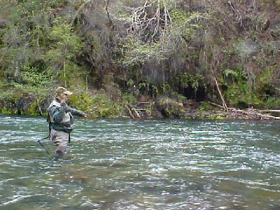 Bill pulling one in 04 26 03 McCloud: 