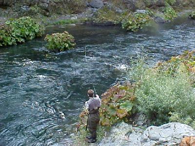 Miles ahead of the trout!: 