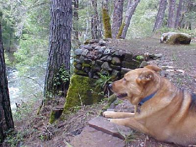 Shasta Trout opening day 2003: 