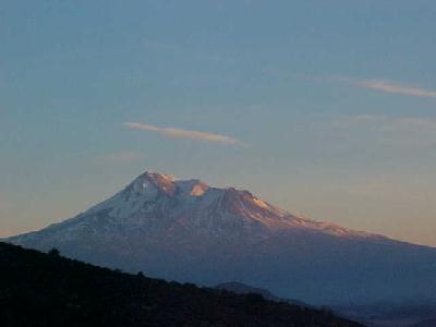 Mt Shasta in Rose Light: 