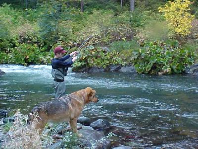 Mac Attack and Shasta Trout: 