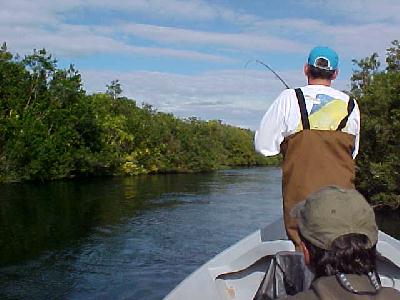 Maullin Fish on!: 