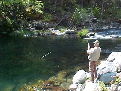 Gene Stockwell McCloud River 2003: 