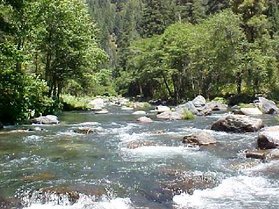 McCloud Pocket Water: 