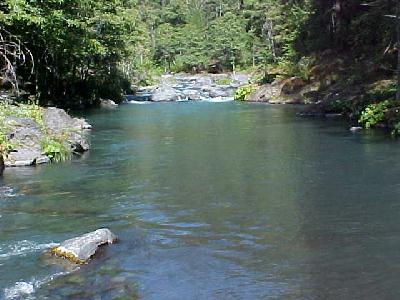 Mccloud River Spring 2003: 