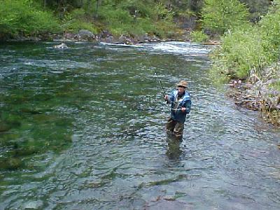 McCloud River David 2002: 