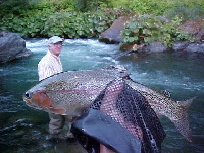 McCloud River Majestic!: 