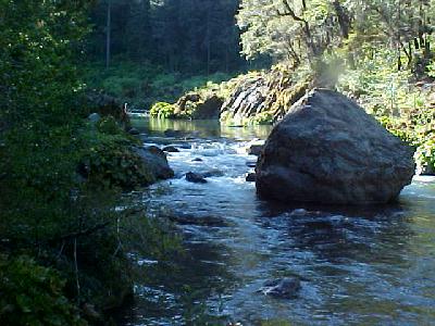 The Lovely McCloud River: 