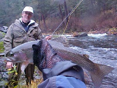 Nice McCloud Trout Sizzler!: 