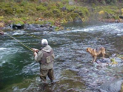 Shasta the Guide Dog in action!: 