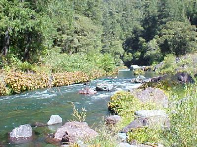 McCloud River Perfect: