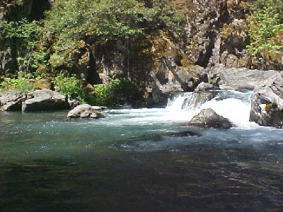McCloud River Summer 2003: 