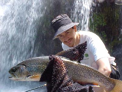 DK on the McCloud Falls w trout: 