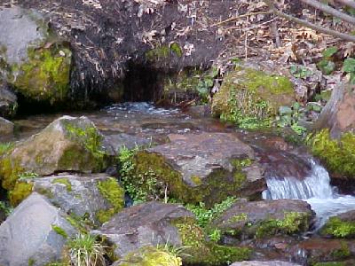 Lava Tubes at City Park: 