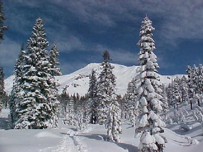 Mt Shasta Feb17th, 2003 historic purposes: 