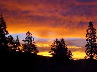 November Mountain Morning 2002: 