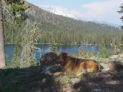 High Mountain Lakes 2003: 