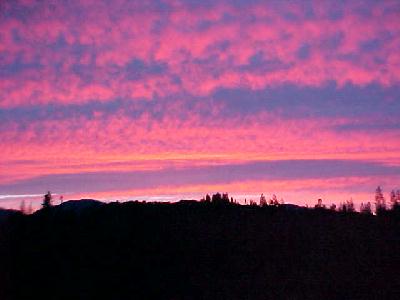 Pink Skys at Sunset!: 
