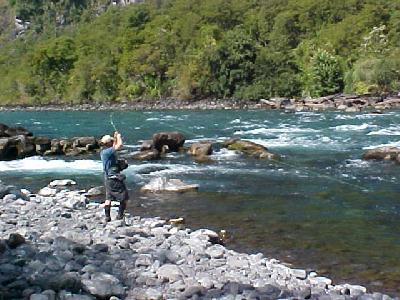 Trout on!: 