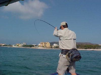 Rod bent big time!: 