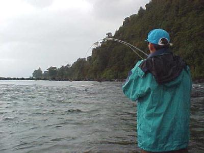 Petrohue Rod Bent: 