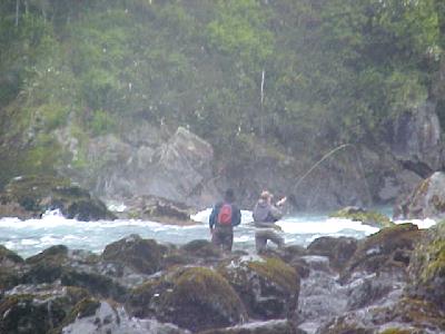 Petrohue Greg with one on: 