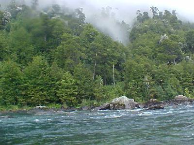 Petrohue Fog: 