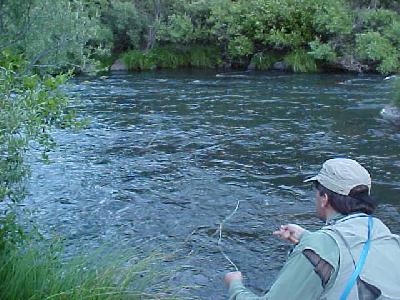 Pit dry fly: 