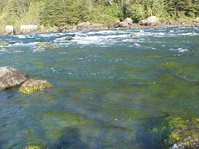 Petrohue Pocket water: 