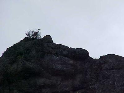 Prehistoric Klamath: 