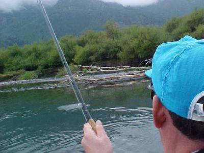 Trancura Fish boiling: 